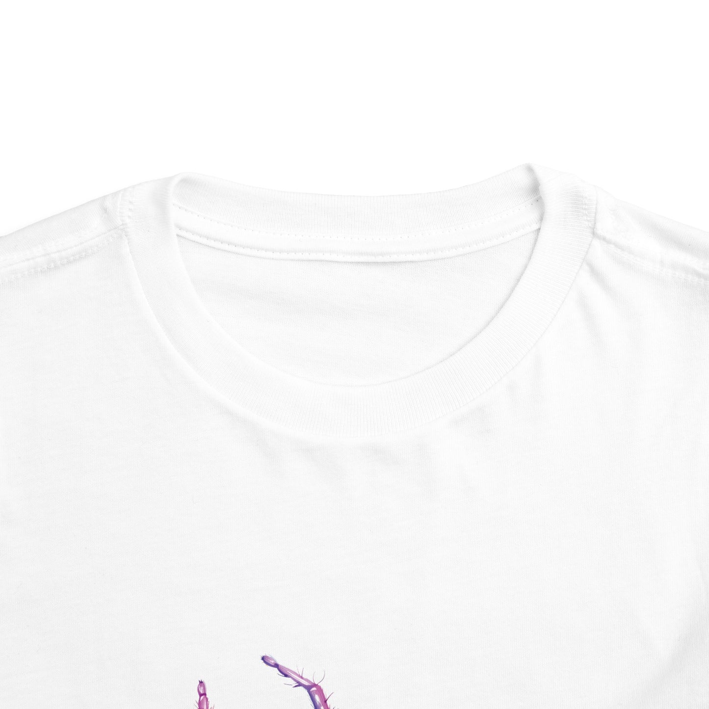 Rainbow Spider T-shirt | short sleeves tee | unique design gift for boys and girls